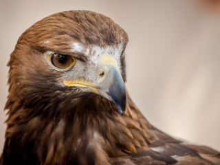 阿联酋公园动物园