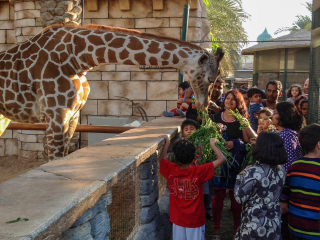 阿联酋公园动物园