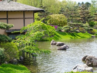 芝加哥植物园