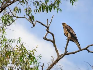 玛丽河国家公园