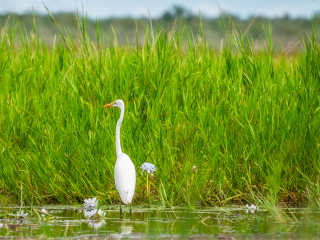 玛丽河国家公园