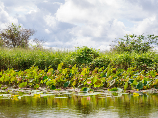 玛丽河国家公园