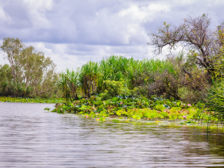 玛丽河国家公园