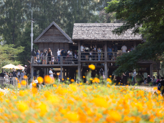 吉姆汤普森之家