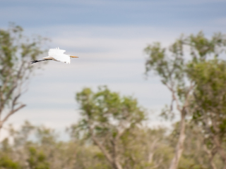 玛丽河国家公园