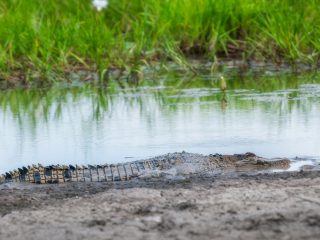 玛丽河国家公园