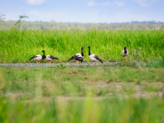 玛丽河国家公园