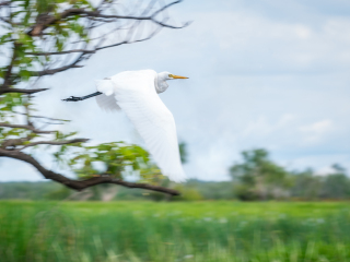 玛丽河国家公园