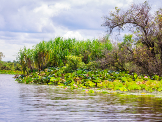 玛丽河国家公园