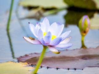 玛丽河国家公园