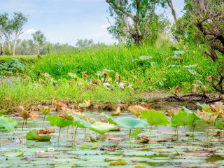 玛丽河国家公园
