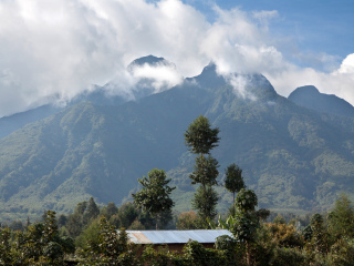 卢旺达火山国家公园