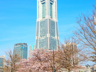 地标大厦空中花园