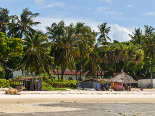 蒙巴萨海滩