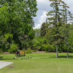 CALGARY, CANADA - MAY 26: Prince's Island Park view taken from on May 26, 2016 in Calgary, Alberta Canada.