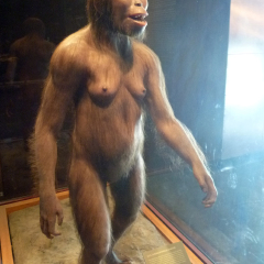 Mexico City, Mexico - January 2013: Figure of a primitive woman in real size in the National Museum of Anthropology.