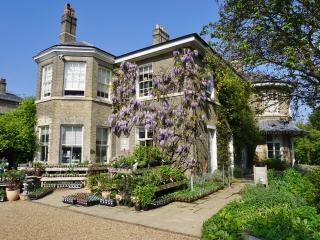 剑桥大学植物园