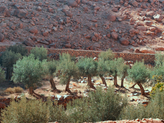 圣凯瑟琳修道院