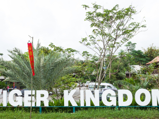 普吉岛老虎王国