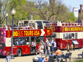 华盛顿观光巴士