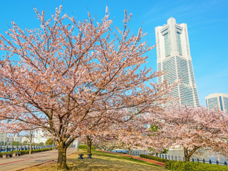 地标大厦空中花园