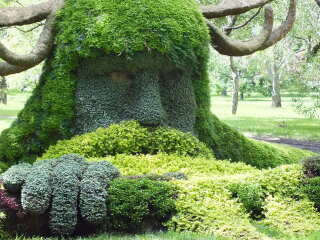 蒙特利尔植物园