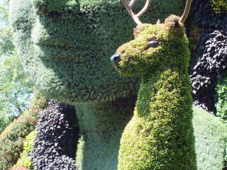 蒙特利尔植物园