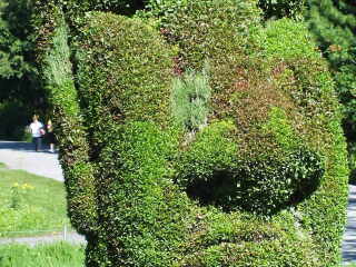 蒙特利尔植物园