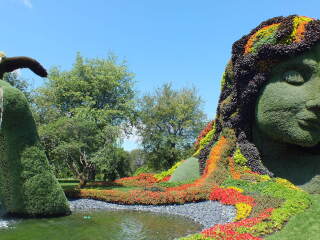 蒙特利尔植物园