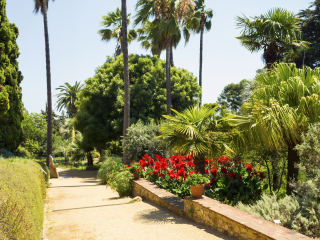 法兰克福棕榈树公园