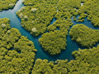 毛里求斯鳄鱼公园