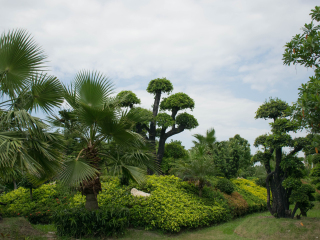 法兰克福棕榈树公园