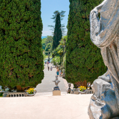 Statue of a girl. Arboretum Sochi, Russia - July 19, 2015: Statue of cock. Arboretum Sochi, Russia  