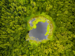 毛里求斯鳄鱼公园