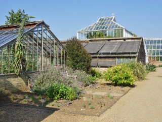 剑桥大学植物园