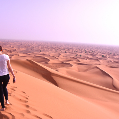 Desert in Arab