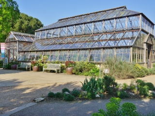 剑桥大学植物园