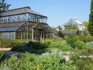 剑桥大学植物园