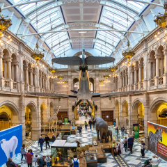 GLASGOW, SCOTLAND - JUNE 27, 2016: Animal area in the Kelvingrove Art Gallery and Museum in Glasgow, Scotland, United Kingdom on June 27, 2016