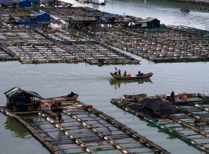 【首发】【行摄霞浦之二】馒头山-东安-浒屿澳