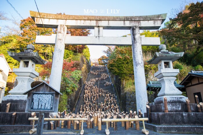 广濑神社的100多层台阶上放置了1800盏竹灯笼,在夜晚,发光的竹子点亮