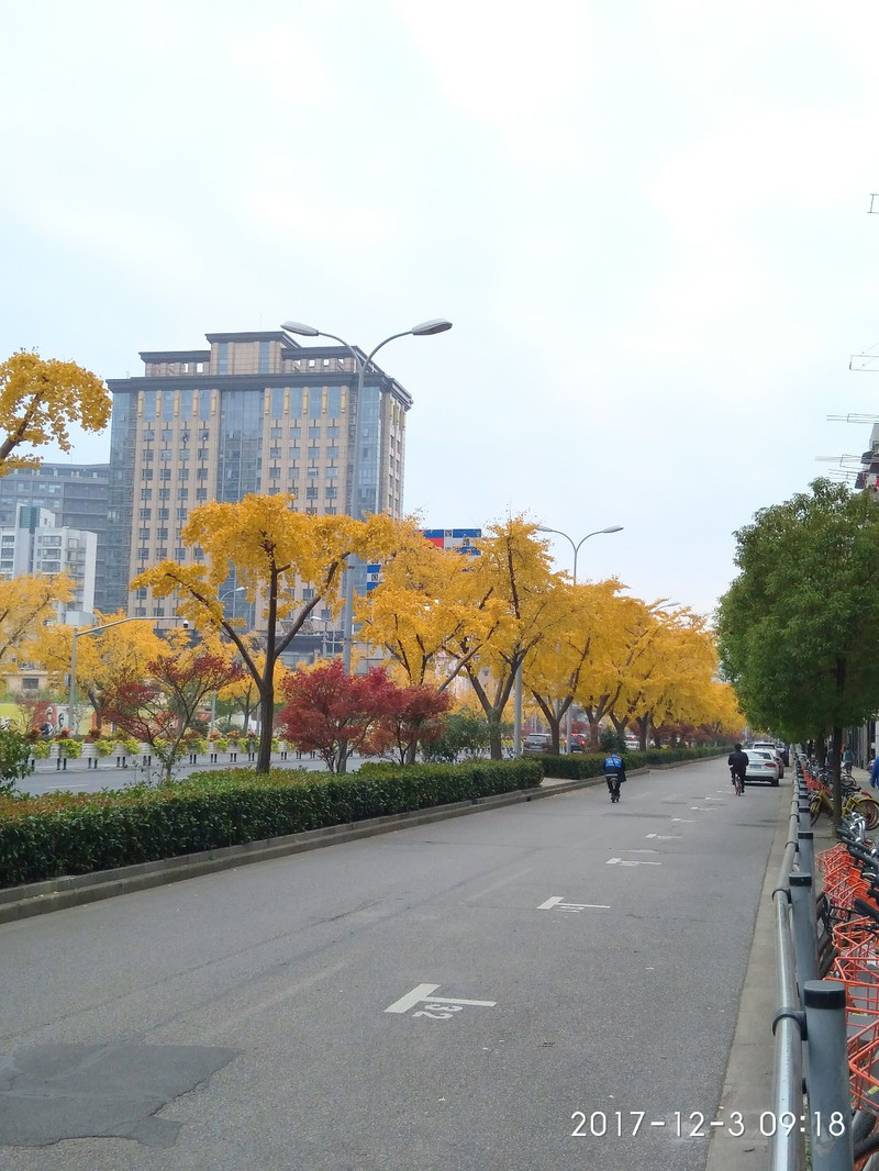 金光大道—上海五角場四平路