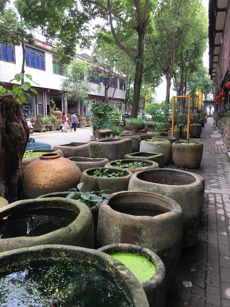 【首发】大邑县青霞镇幸福公社