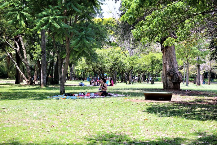    人们在树荫下休闲.