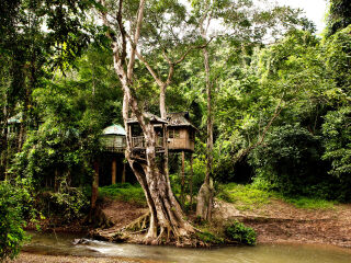 西双版纳原始森林公园