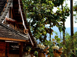 西双版纳勐泐大佛寺