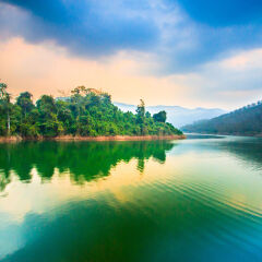 Xishuangbanna tropical rainforest