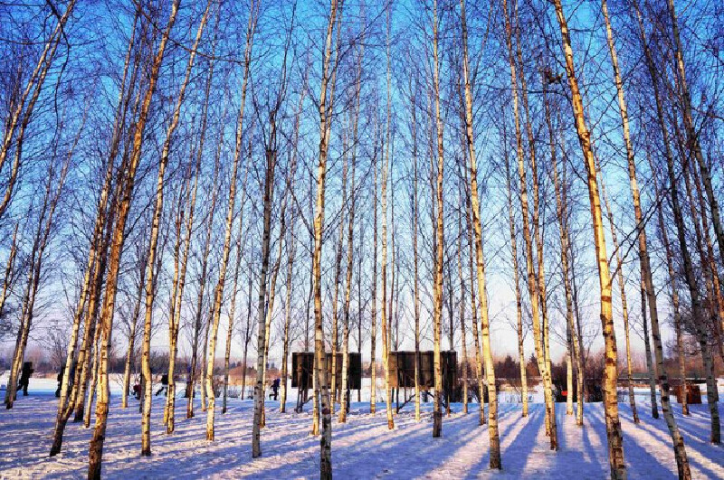 东方的莫斯科——哈尔滨