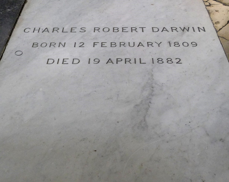达尔文墓图片