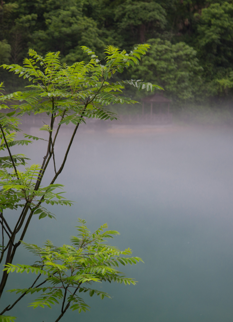细雨中,邂逅国风仙境